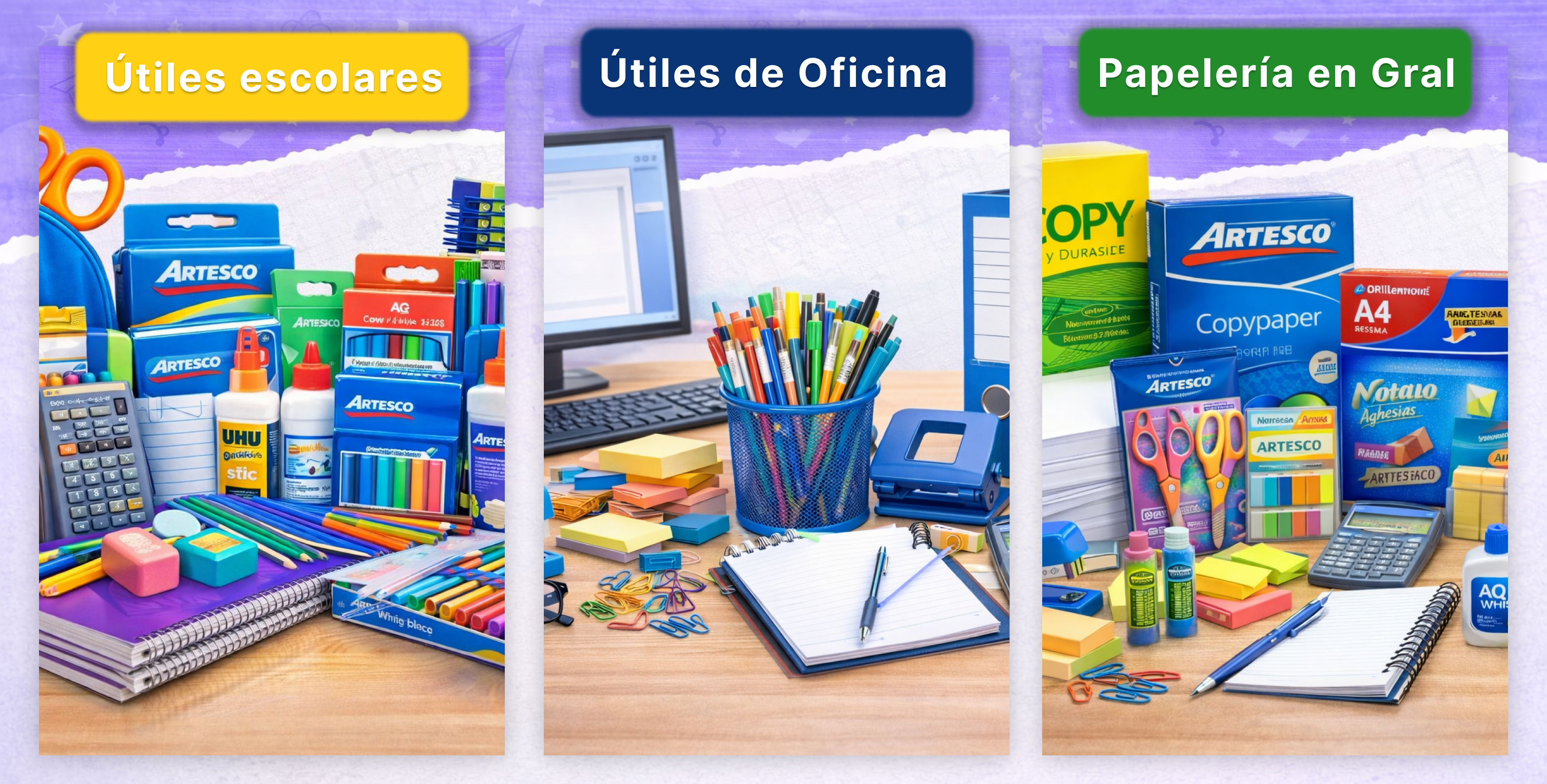 Categoría seleccionada