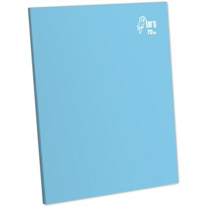 CUADERNO TRIPLE RENGLĂN DELUXE LORO A4 70 GR CELESTE 80 HOJAS